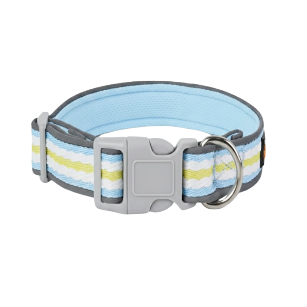 Collar para Perro de Nylon Ajustable
