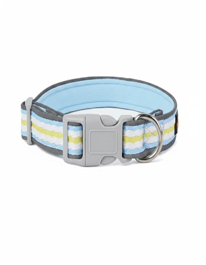 Collar para Perro de Nylon Ajustable – Resistente y Cómodo